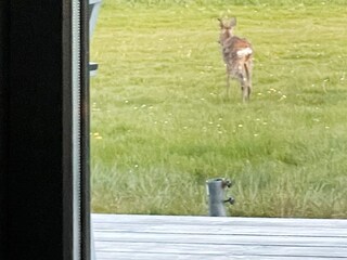 Vakantiehuis Ørding Buitenaudio-opname 6