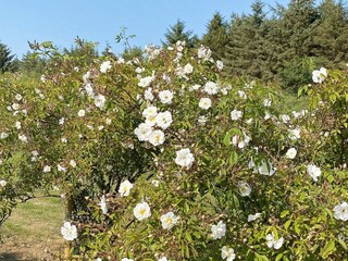 Maison de vacances Ørding Enregistrement extérieur 1