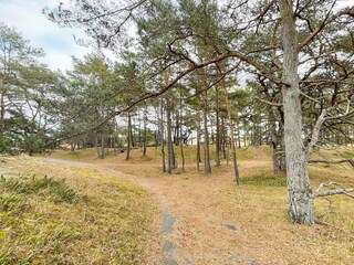Vakantiehuis Degeberga  12