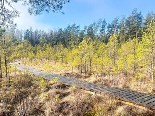 Vakantiehuis Forsheda  22