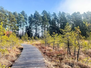 Maison de vacances Forsheda  28