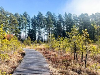 Vakantiehuis Forsheda  28