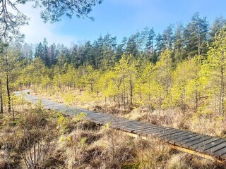 Maison de vacances Forsheda  30