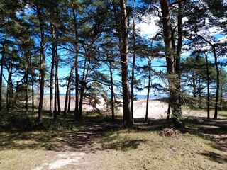 Vakantiehuis Degeberga  43