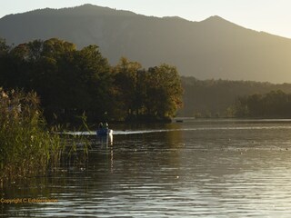 Holiday apartment Murnau am Staffelsee Environment 16
