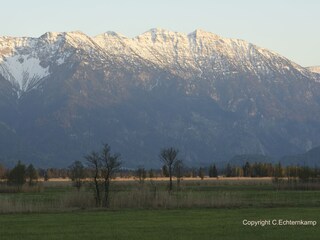 Holiday apartment Murnau am Staffelsee Environment 17