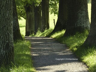 Holiday apartment Murnau am Staffelsee Environment 20