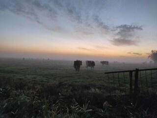 Vakantiehuis Ditzum Omgeving 31