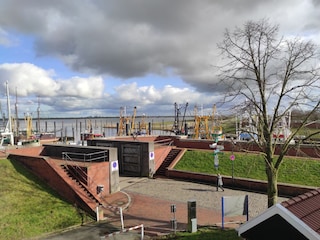 Maison de vacances Ditzum Environnement 32