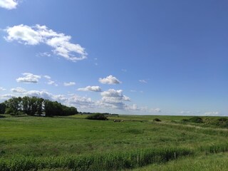Maison de vacances Ditzum Environnement 32