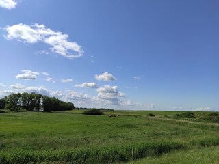 Maison de vacances Ditzum Environnement 34