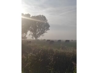 Maison de vacances Ditzum Environnement 35