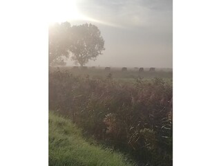 Maison de vacances Ditzum Environnement 37