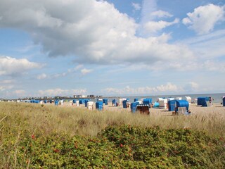 Weidefelder Strand