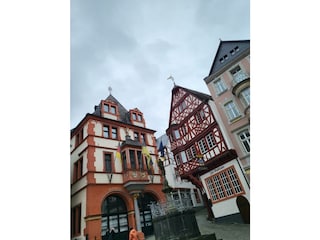 Ferienwohnung Bernkastel-Kues Umgebung 14