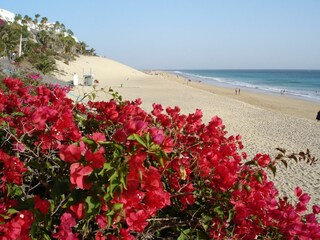 Strand von Morro Jable