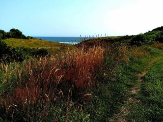 Apartment Hanstholm  13