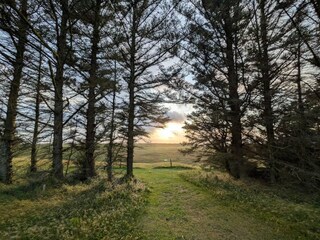 Apartment Hanstholm  17