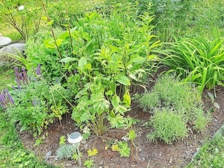 Ferienhaus Vättersö Außenaufnahme 7