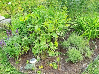 Vakantiehuis Vättersö Buitenaudio-opname 7