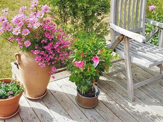 Vakantiehuis Vättersö  46