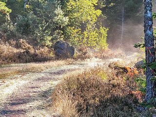 Ferienhaus Gamleby  15