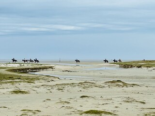 Holiday apartment St. Peter-Ording  32