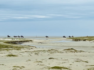 Nur am Böhler Strand kann auch ausgeritten werden