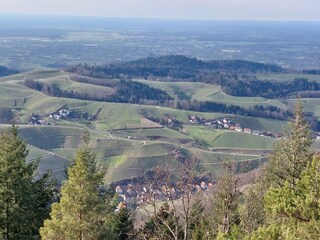 Tolle Wanderwege mit tollen Weitblicken