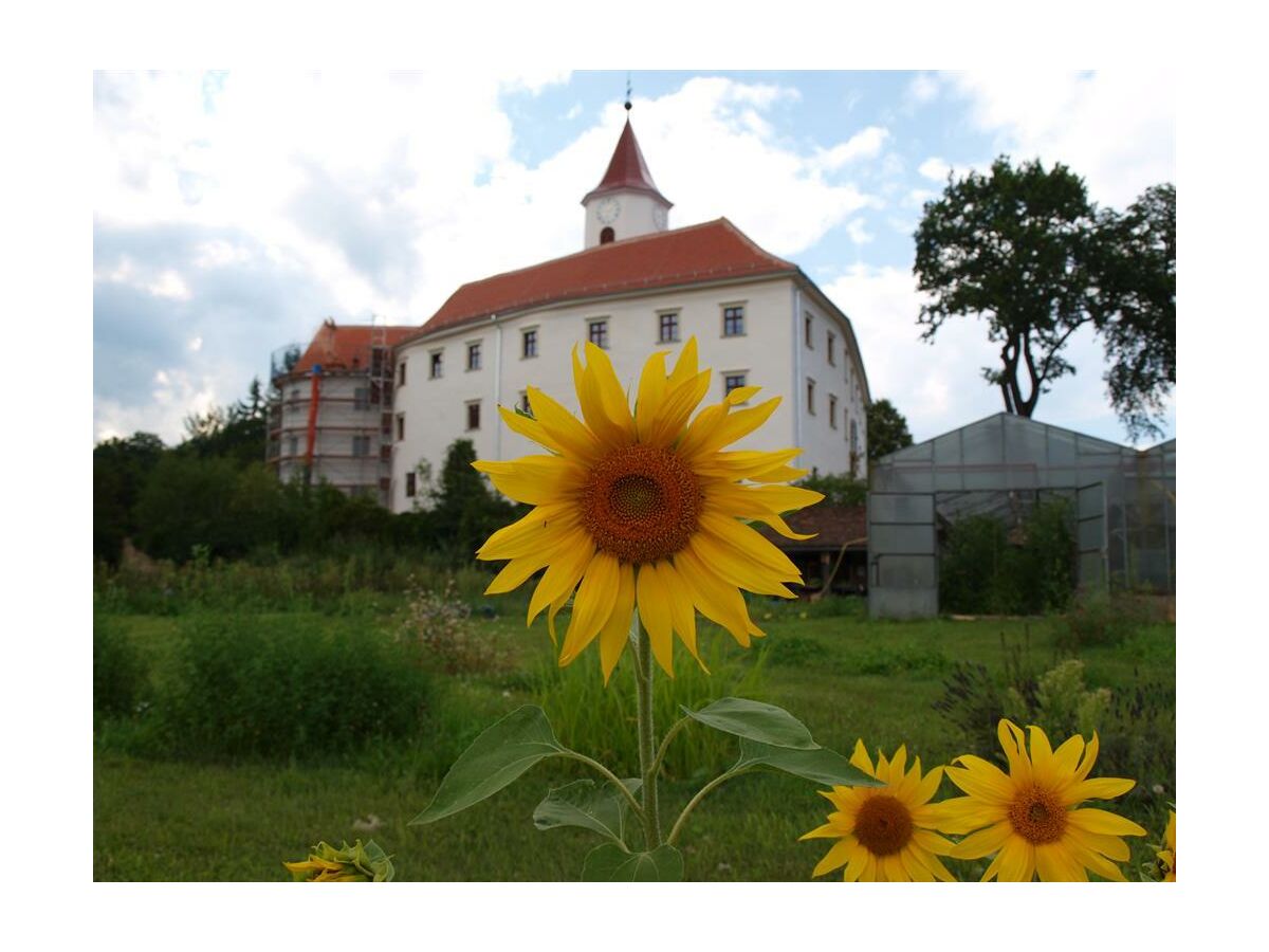 Schloss Kirchberg unterhalb des Wiesenhof`s