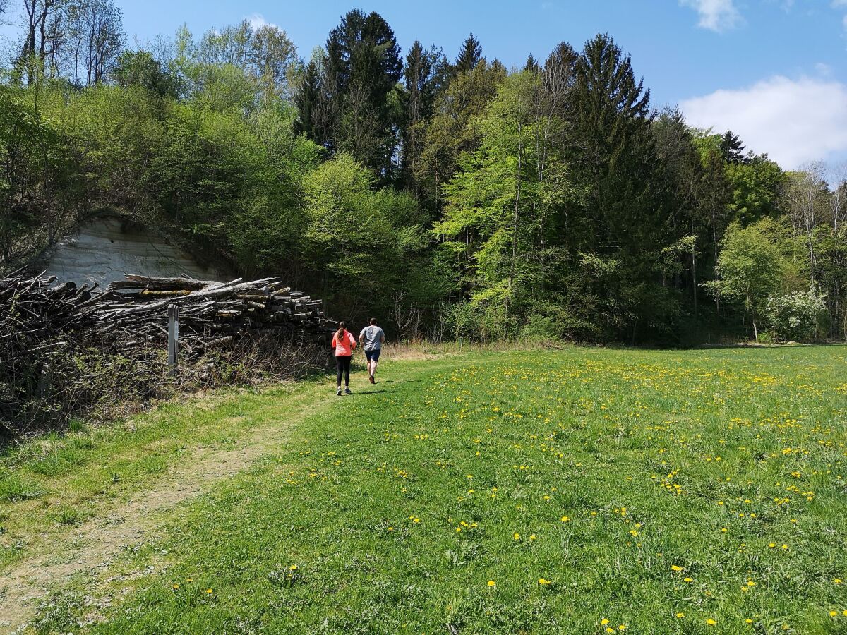 Joggen am Bacherlweg