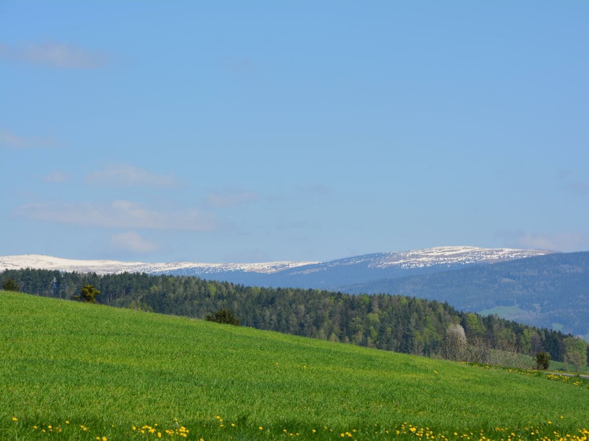 Blick zum Hochwechsel vom Wiesenhof