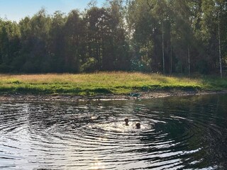 Vakantiehuis Traryd Buitenaudio-opname 2