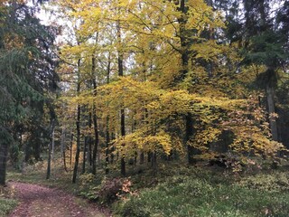 Ferienhaus Traryd  30