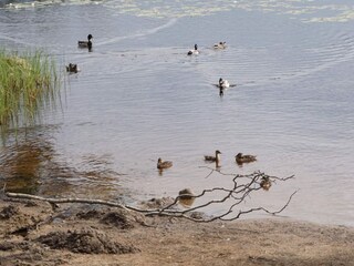 Vakantiehuis Traryd  10