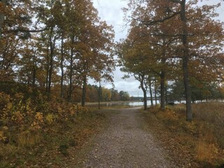 Ferienhaus Traryd  11