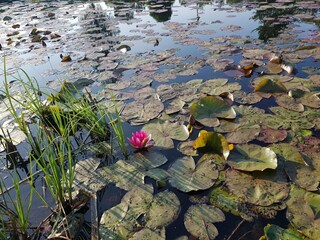 Ferienhaus Traryd  21