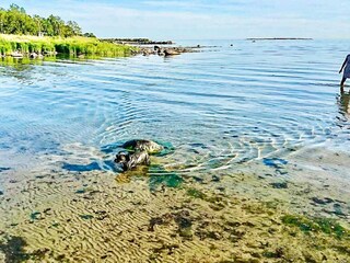 Vakantiehuis Karlskrona  23