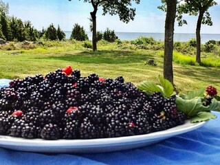 Ferienhaus Karlskrona Außenaufnahme 10