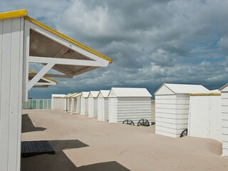 Vakantiepark Blankenberge Omgeving 31