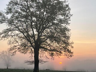 Maison de vacances Couleuvre Environnement 37