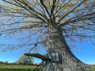 Ferienhaus Couleuvre Umgebung 38