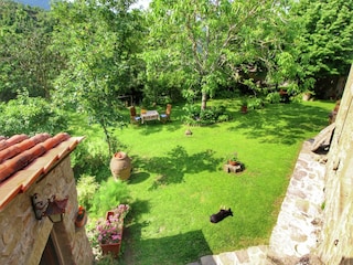 Farmhouse Tuoro sul Trasimeno Outdoor Recording 8