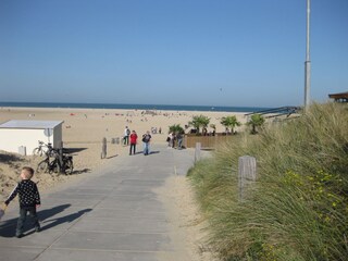 Villa Kamperland Omgeving 28