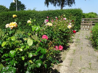 Ferienwohnung Dahme Außenaufnahme 3