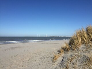 Villa Kamperland Environment 40