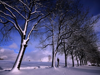 Appartamento per vacanze Löffingen Ambiente 28