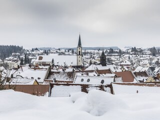 Appartamento per vacanze Löffingen Ambiente 29