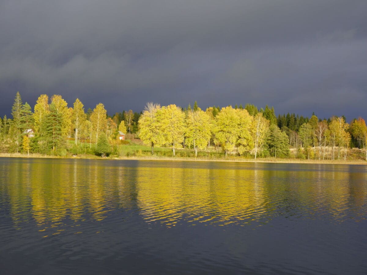 Herbst in Silltal