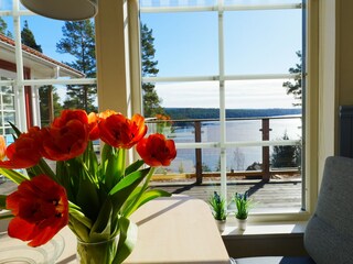 view from the dining room